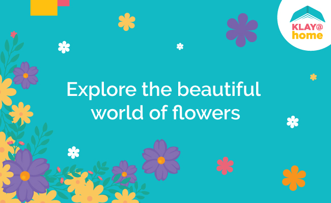 preschool daycare beautiful world of flowers